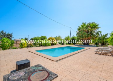 Venta - Finca - Elche - Elche/Elx