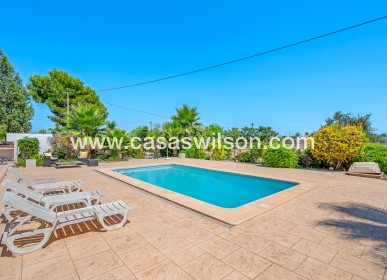 Venta - Finca - Elche - Elche/Elx