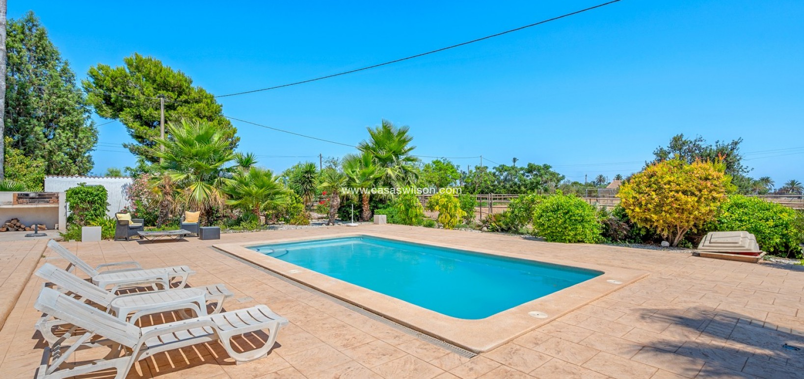 Venta - Finca - Elche - Elche/Elx