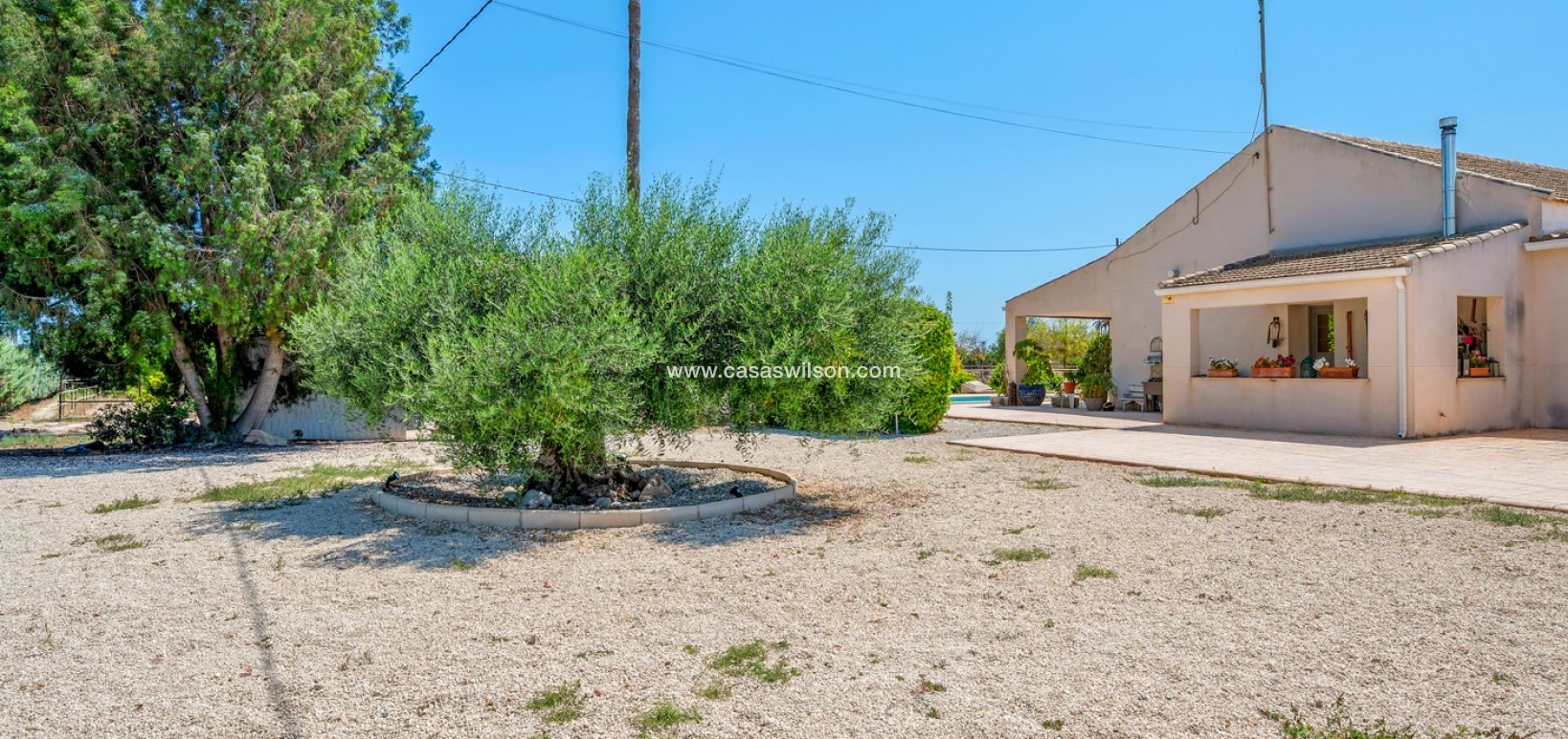 Venta - Finca - Elche - Elche/Elx