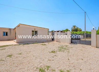 Venta - Finca - Elche - Elche/Elx