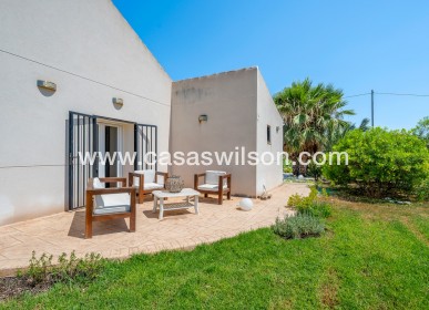 Venta - Finca - Elche - Elche/Elx