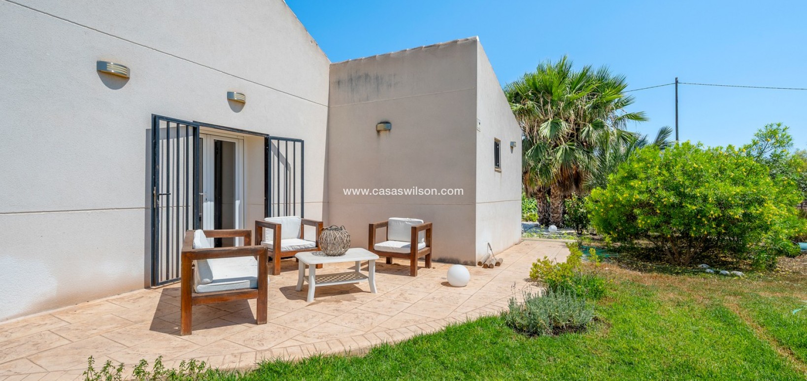 Venta - Finca - Elche - Elche/Elx