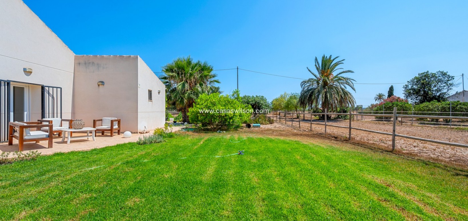 Venta - Finca - Elche - Elche/Elx