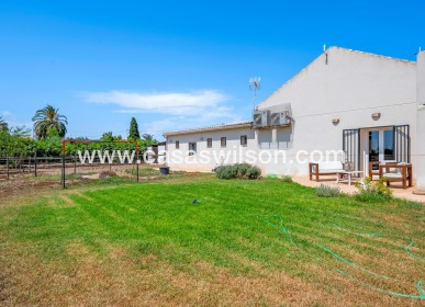 Venta - Finca - Elche - Elche/Elx