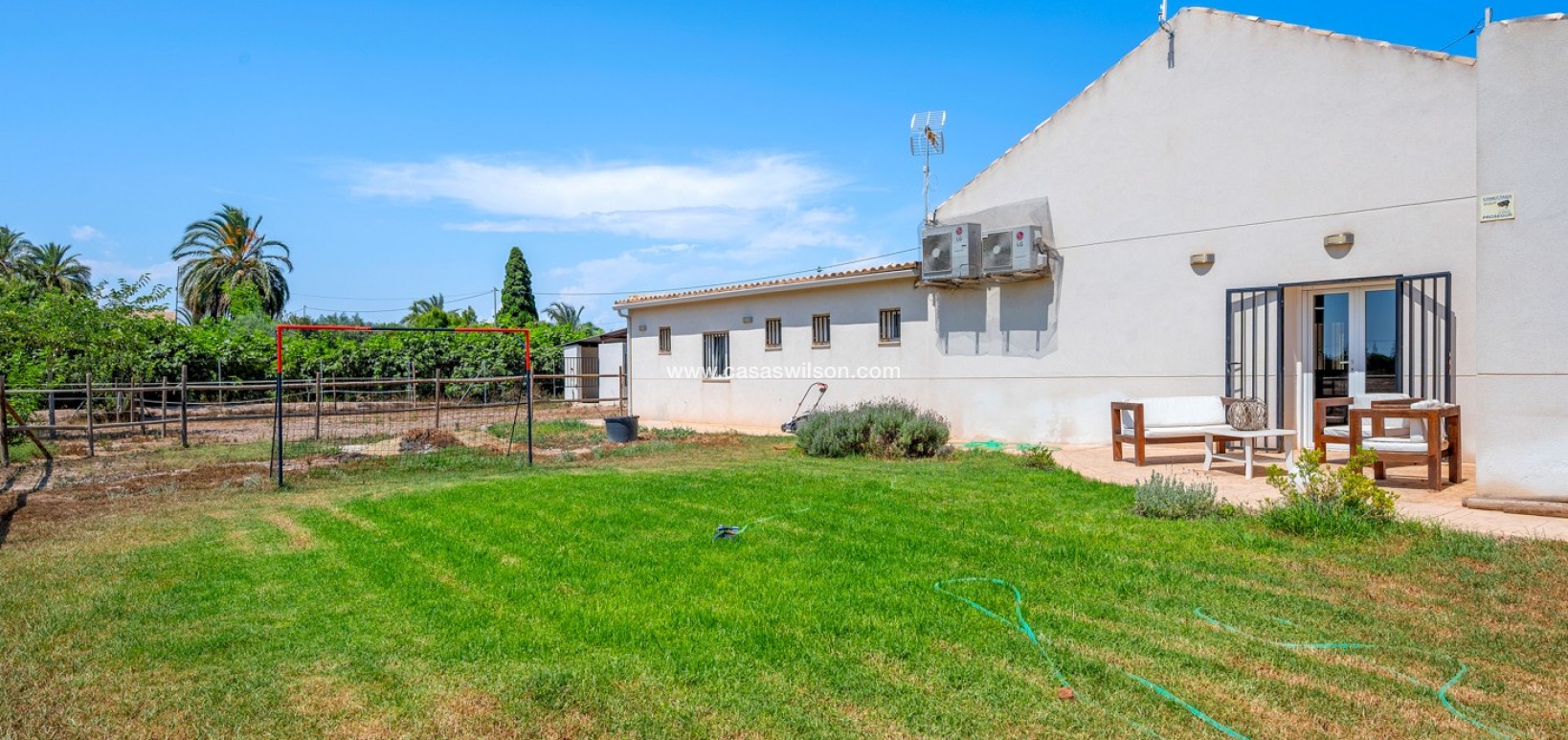 Venta - Finca - Elche - Elche/Elx