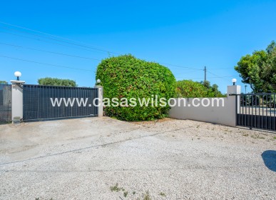 Venta - Finca - Elche - Elche/Elx