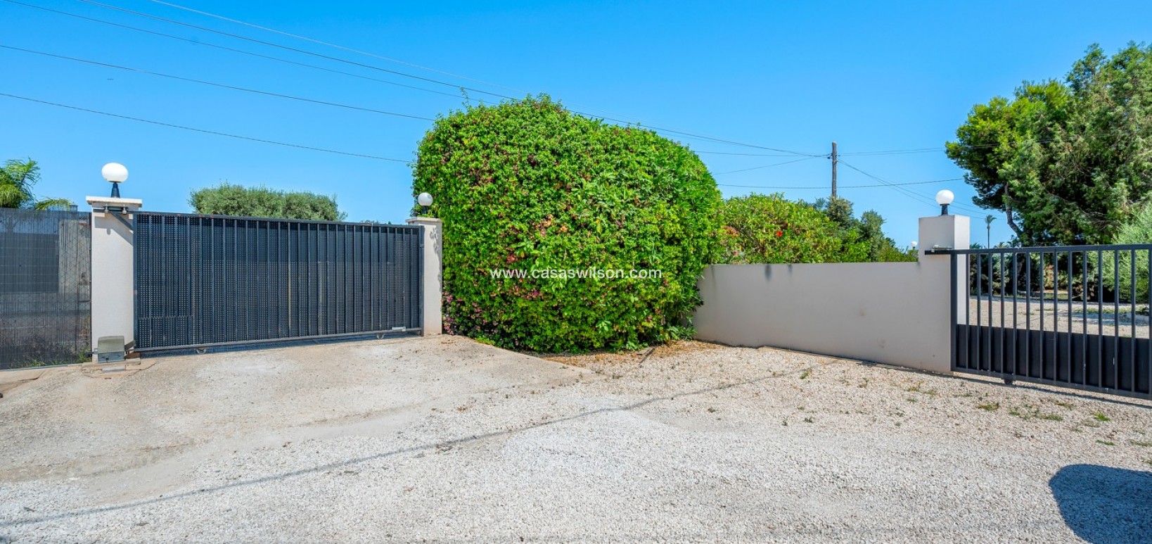 Venta - Finca - Elche - Elche/Elx