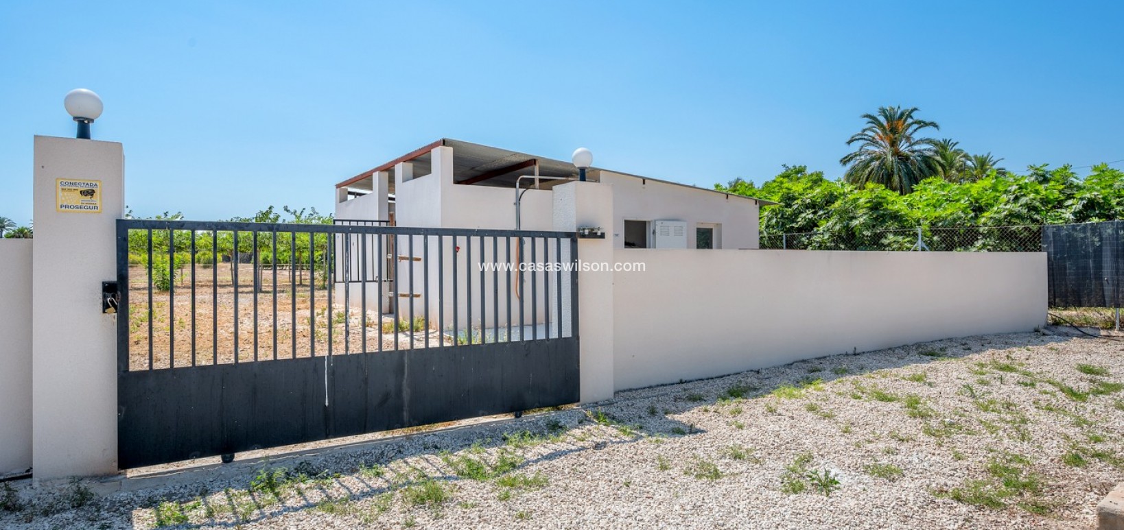 Venta - Finca - Elche - Elche/Elx