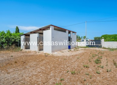 Venta - Finca - Elche - Elche/Elx