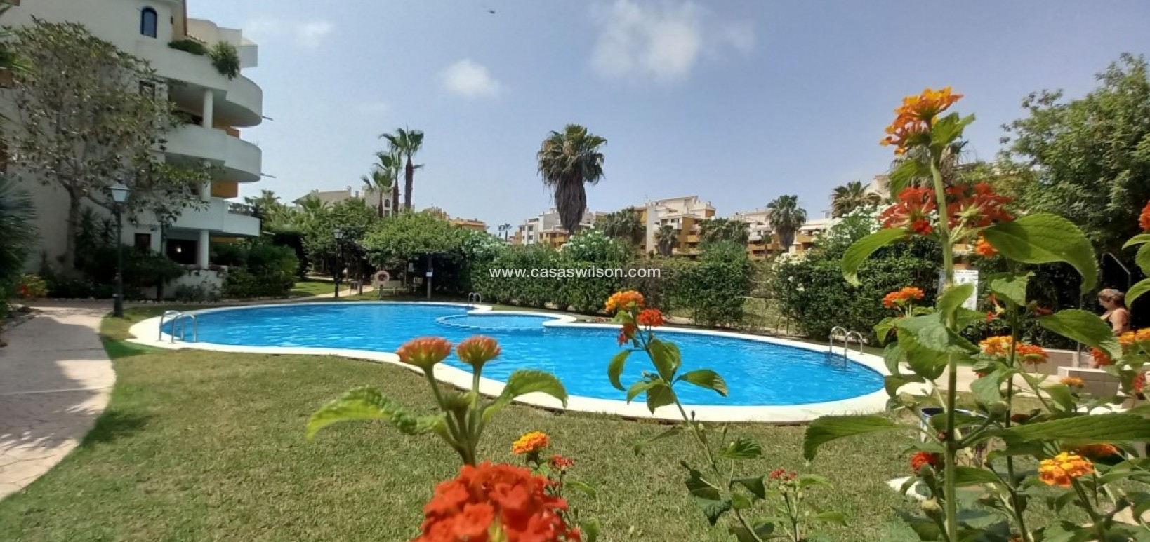 Sale - Apartment - Punta Prima