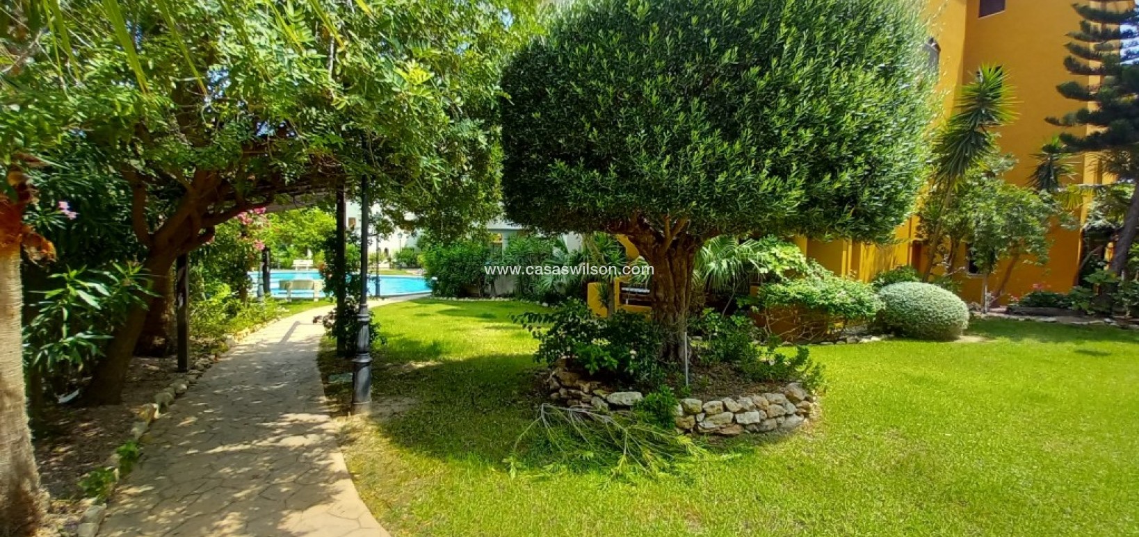 Sale - Apartment - Punta Prima