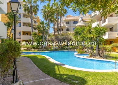 Sale - Apartment - Punta Prima