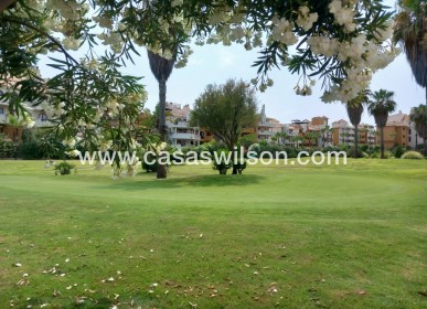 Sale - Apartment - Punta Prima