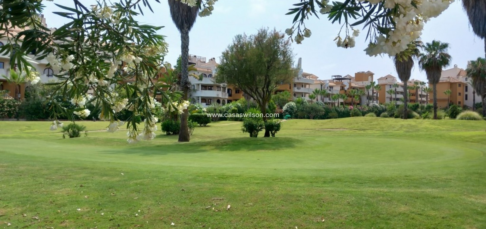 Sale - Apartment - Punta Prima