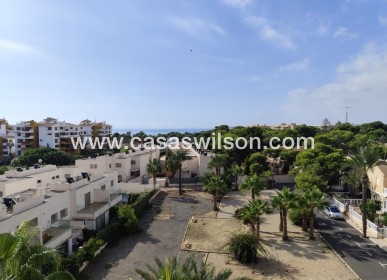 Sale - Apartment - Punta Prima