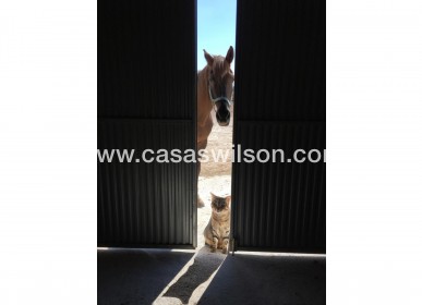 Sale - Country Property/Finca - Torre Del Rico