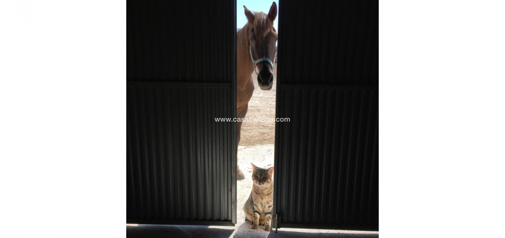 Sale - Country Property/Finca - Torre Del Rico