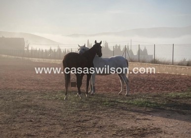 Sale - Country Property/Finca - Torre Del Rico