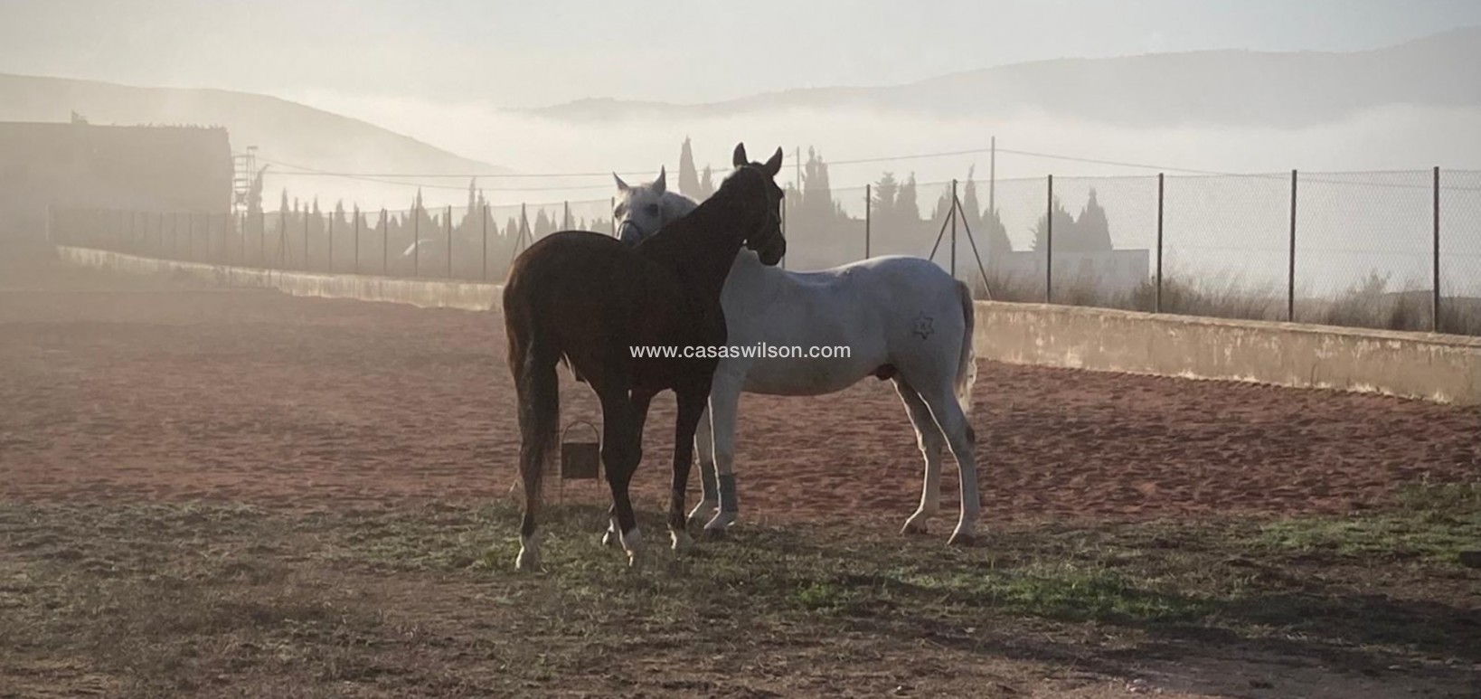 Sale - Country Property/Finca - Torre Del Rico