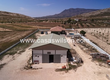 Sale - Country Property/Finca - Torre Del Rico