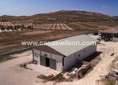 Sale - Country Property/Finca - Torre Del Rico