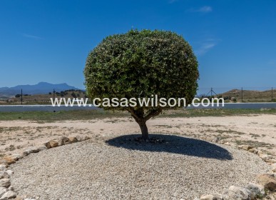 Sale - Country Property/Finca - Torre Del Rico