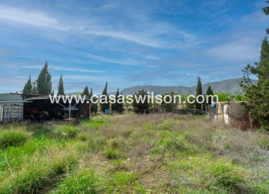 Sale - Villa - Salinas