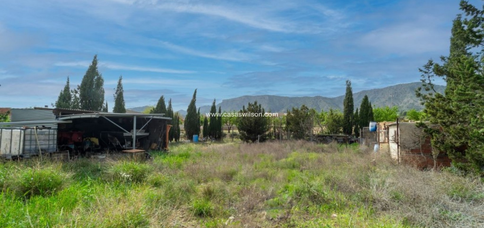 Sale - Villa - Salinas