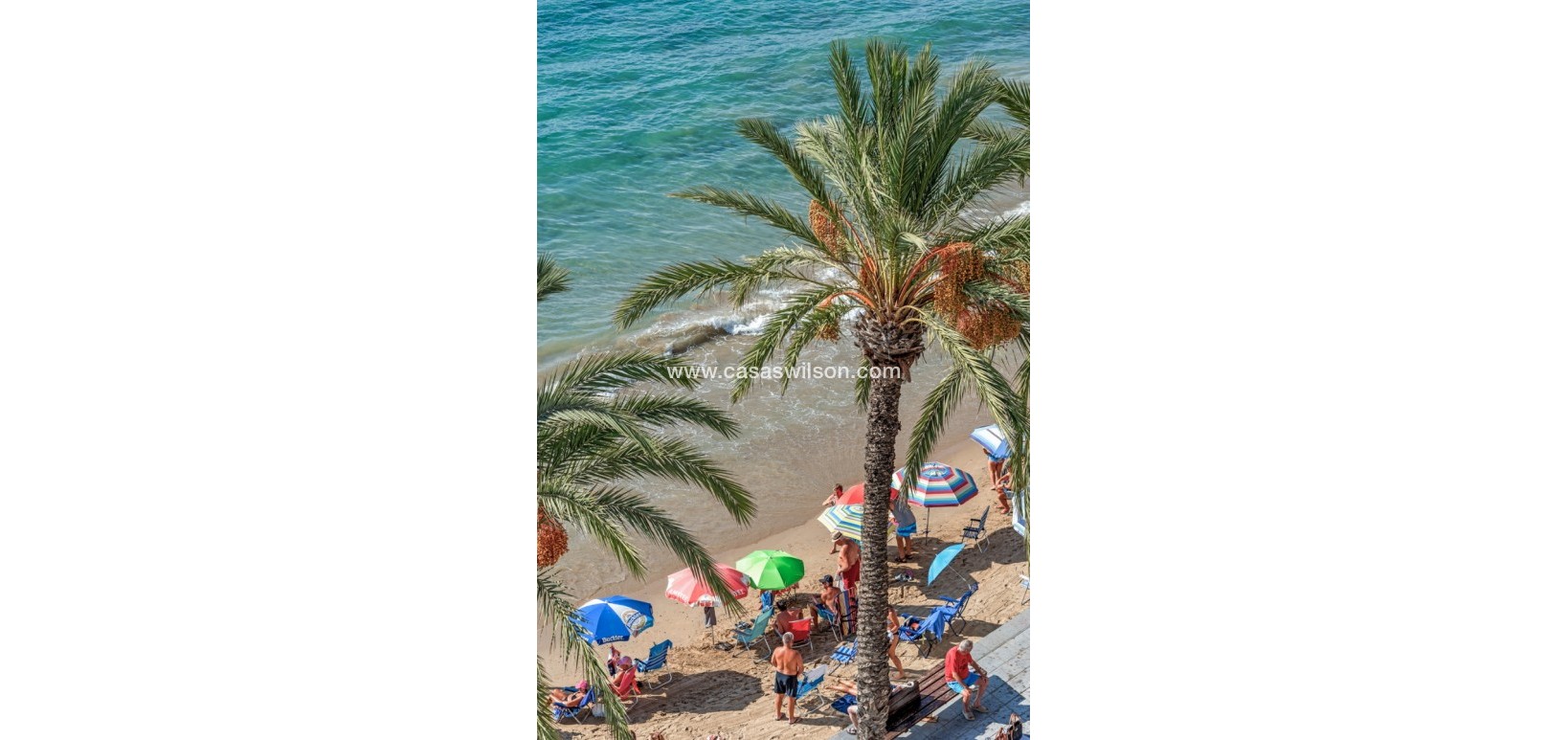 Sale - Appartement - Torrevieja