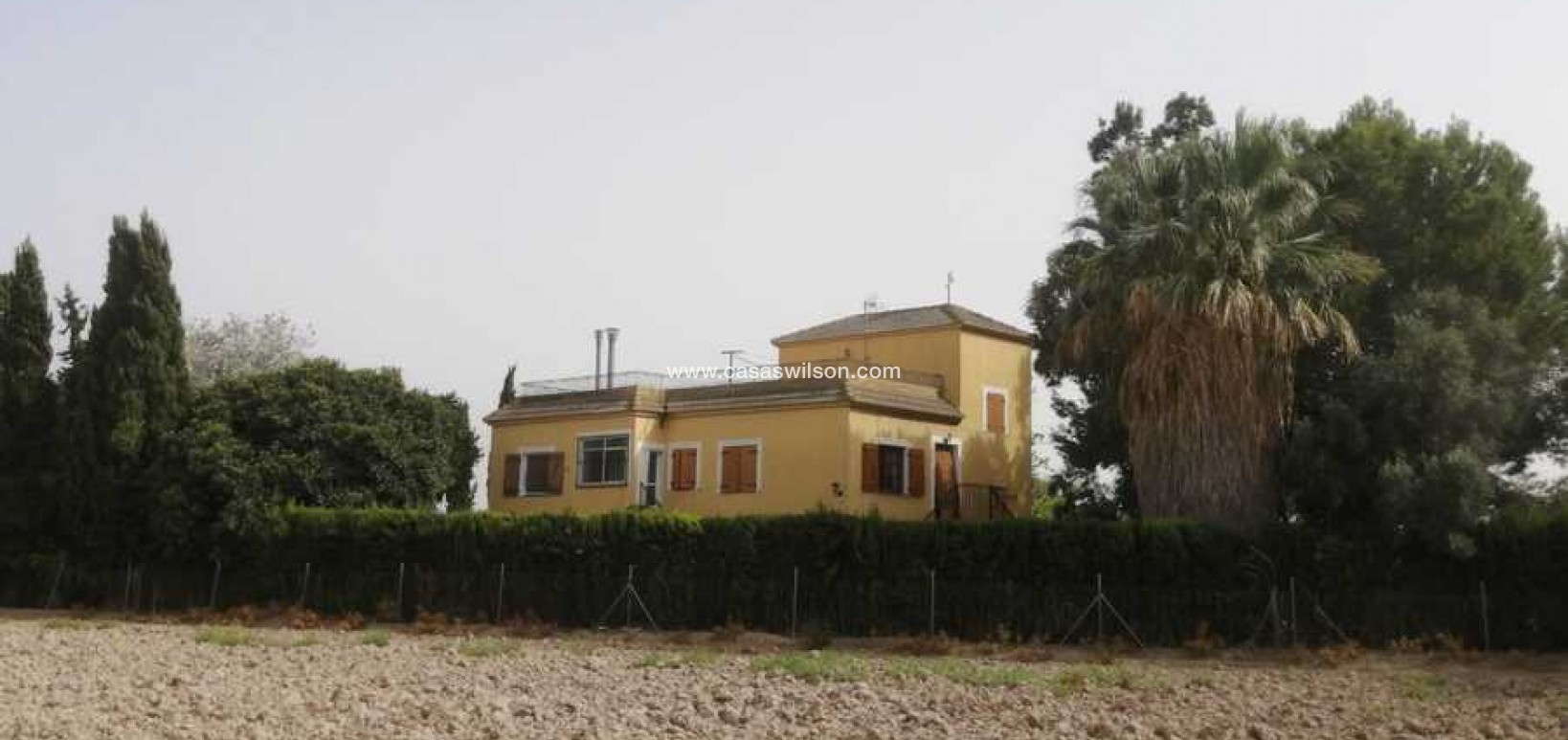 Sale - Villa - Daya Nueva