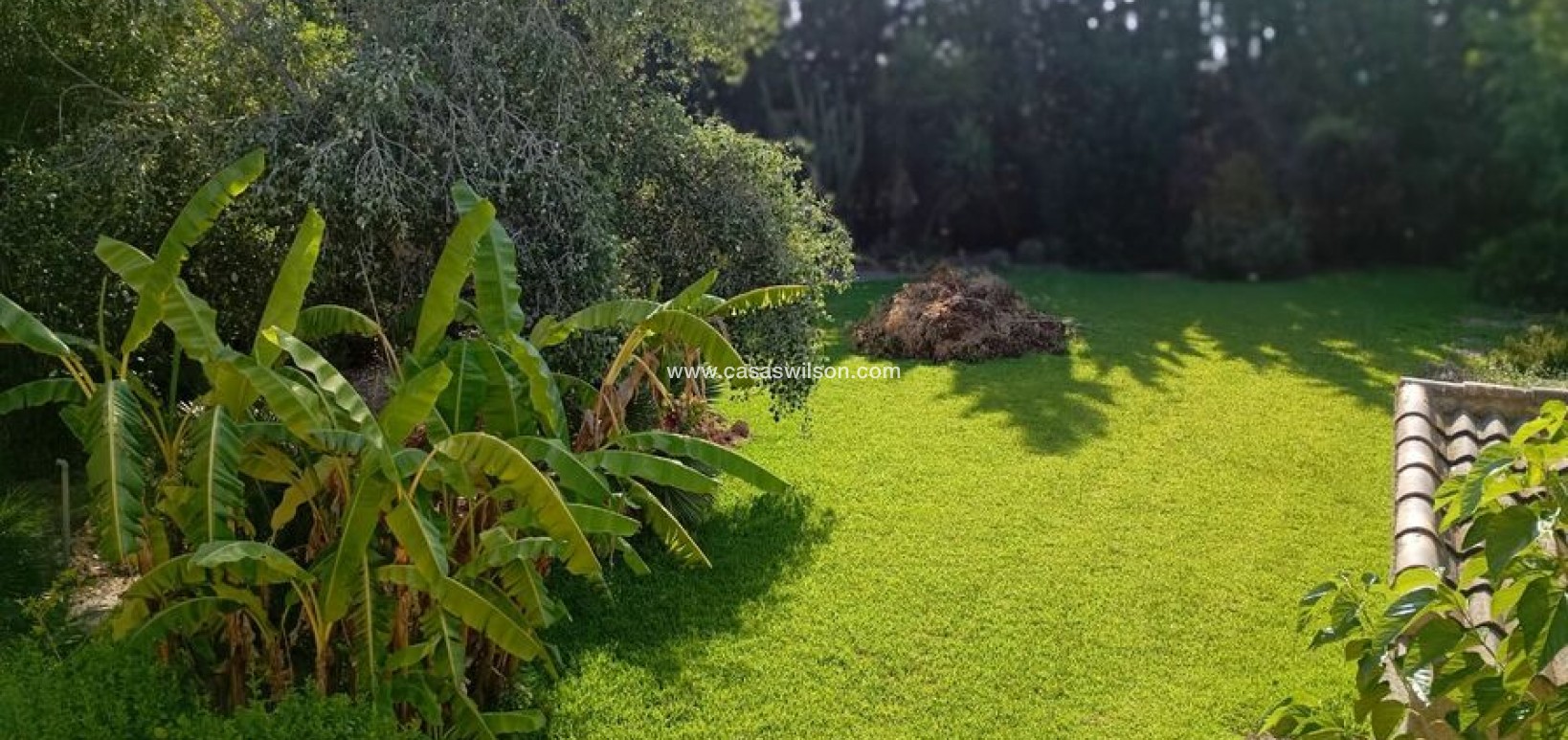 Sale - Villa - Daya Nueva