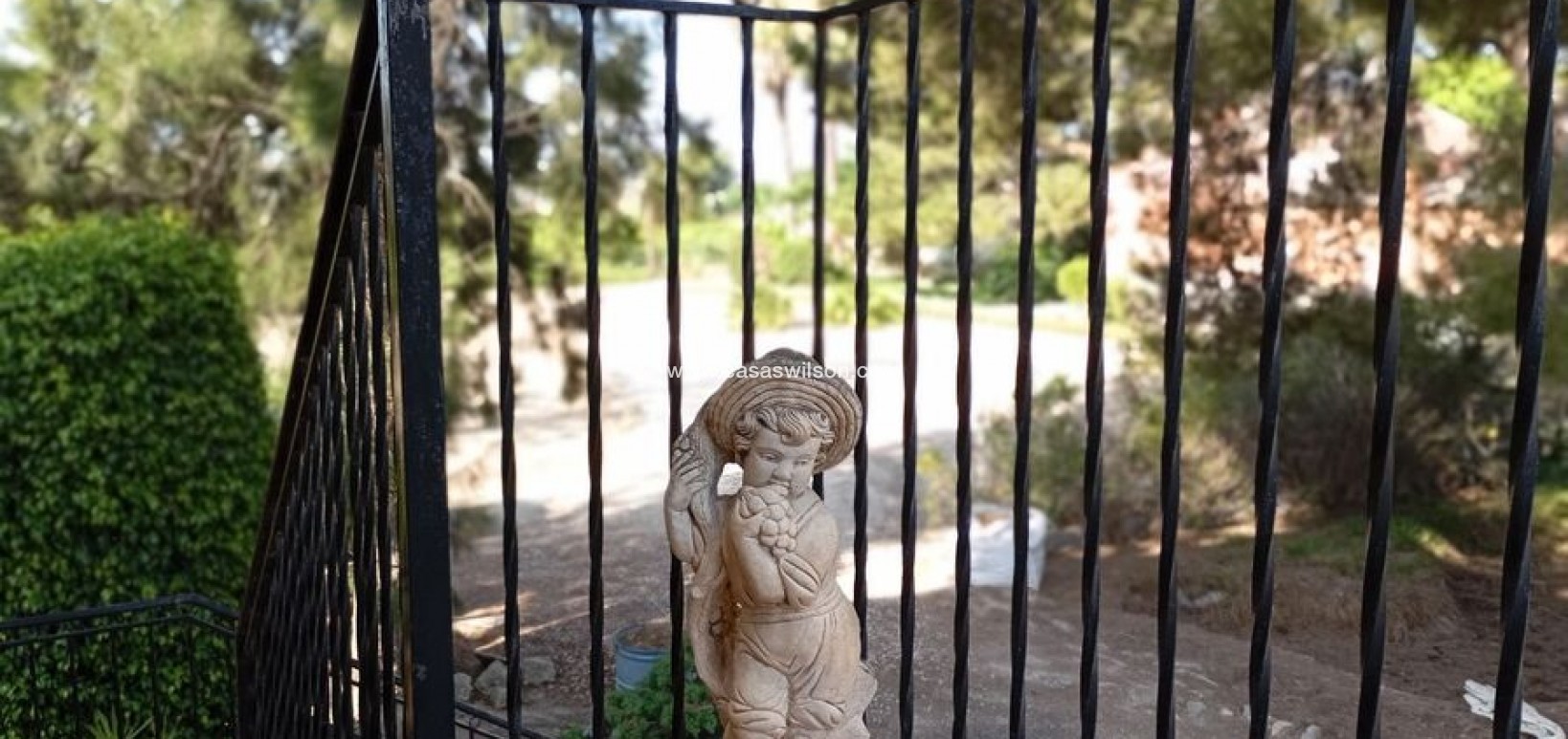 Sale - Villa - Daya Nueva