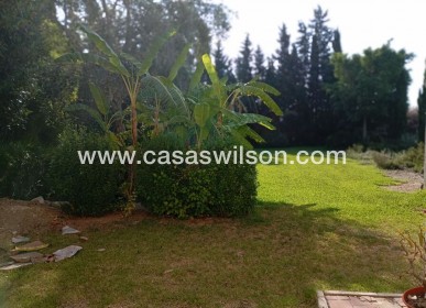 Sale - Villa - Daya Nueva