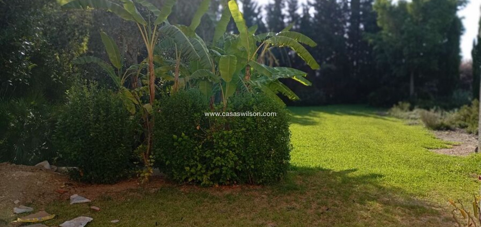 Sale - Villa - Daya Nueva