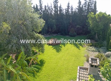 Sale - Villa - Daya Nueva