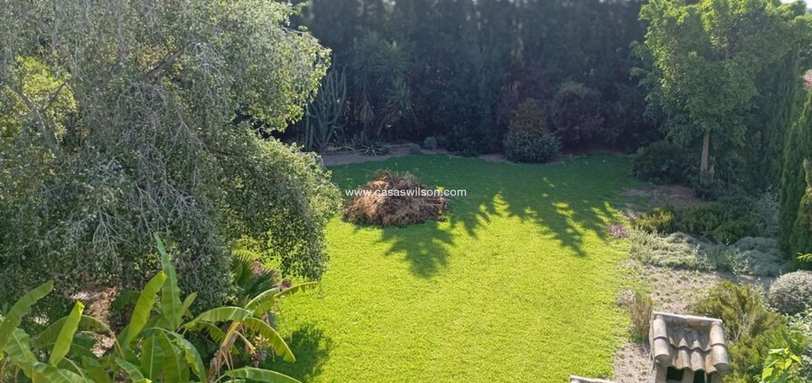 Sale - Villa - Daya Nueva