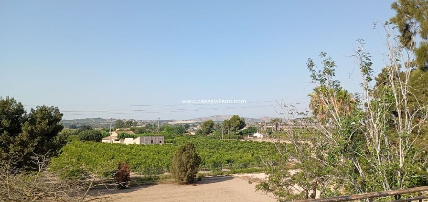 Sale - Villa - Daya Nueva