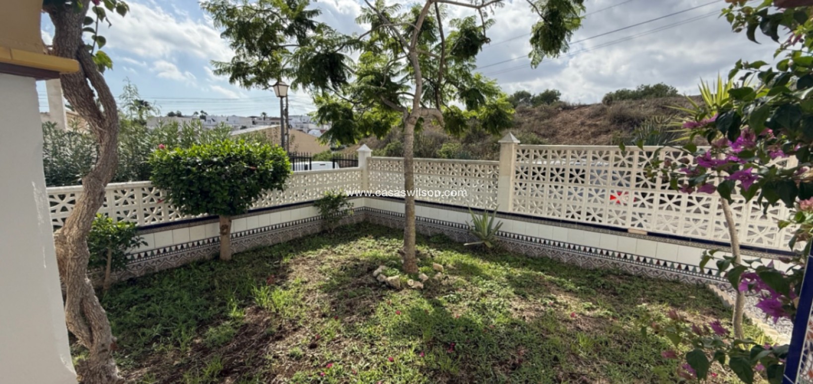 Sale - Apartment - San Miguel de Salinas - Inland