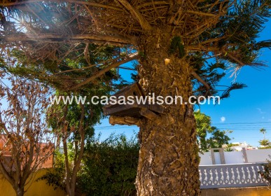 Sale - Villa - Torrevieja - Costa Blanca