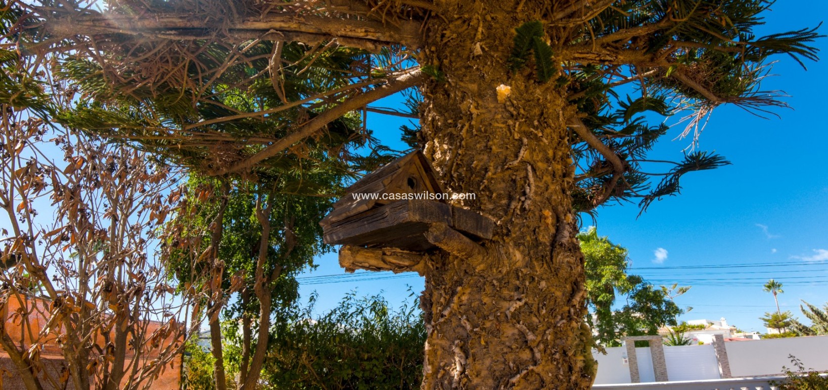 Sale - Villa - Torrevieja - Costa Blanca