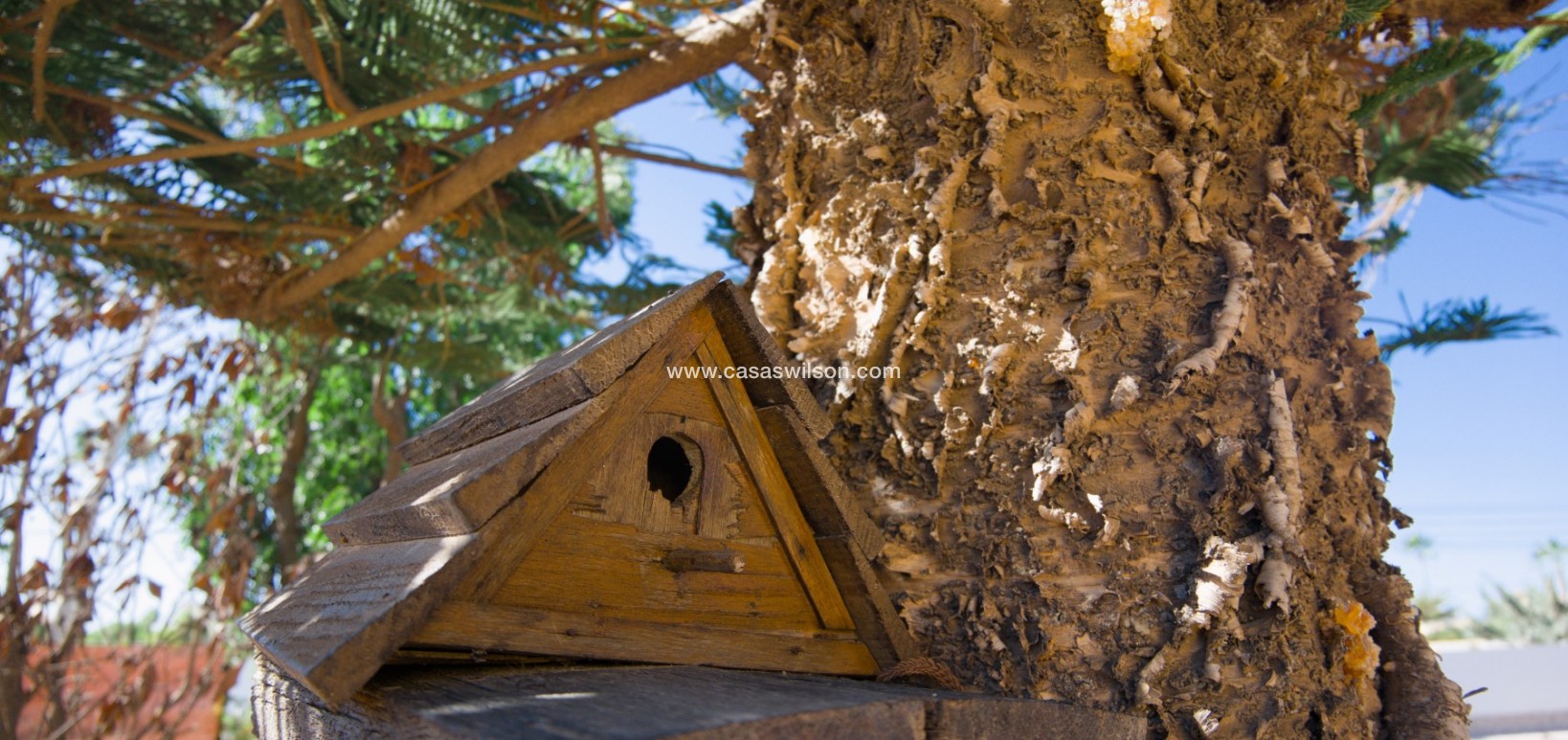 Sale - Villa - Torrevieja - Costa Blanca