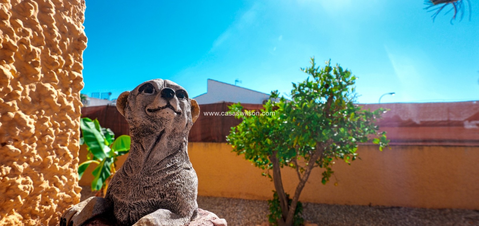 Sale - Villa - Torrevieja - Costa Blanca