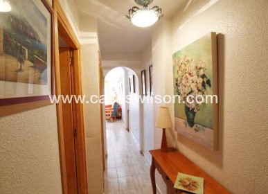 Sale - Apartment - Guardamar del Segura - CENTRO