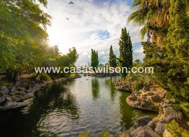 Sale - Townhouse - Torrevieja - Centro