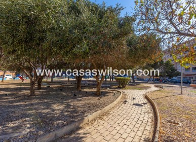 Sale - Apartment - Torrevieja - El molino