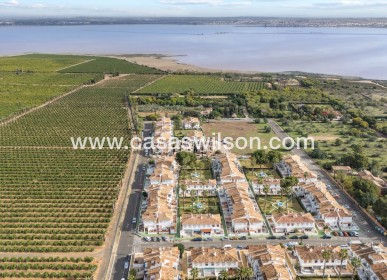 Sale - Apartment - Torrevieja - Costa Blanca