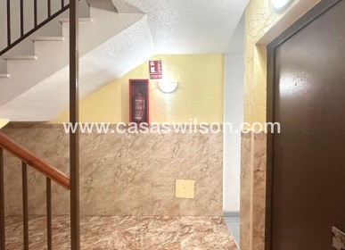 Sale - Apartment - Torrevieja - Acequion