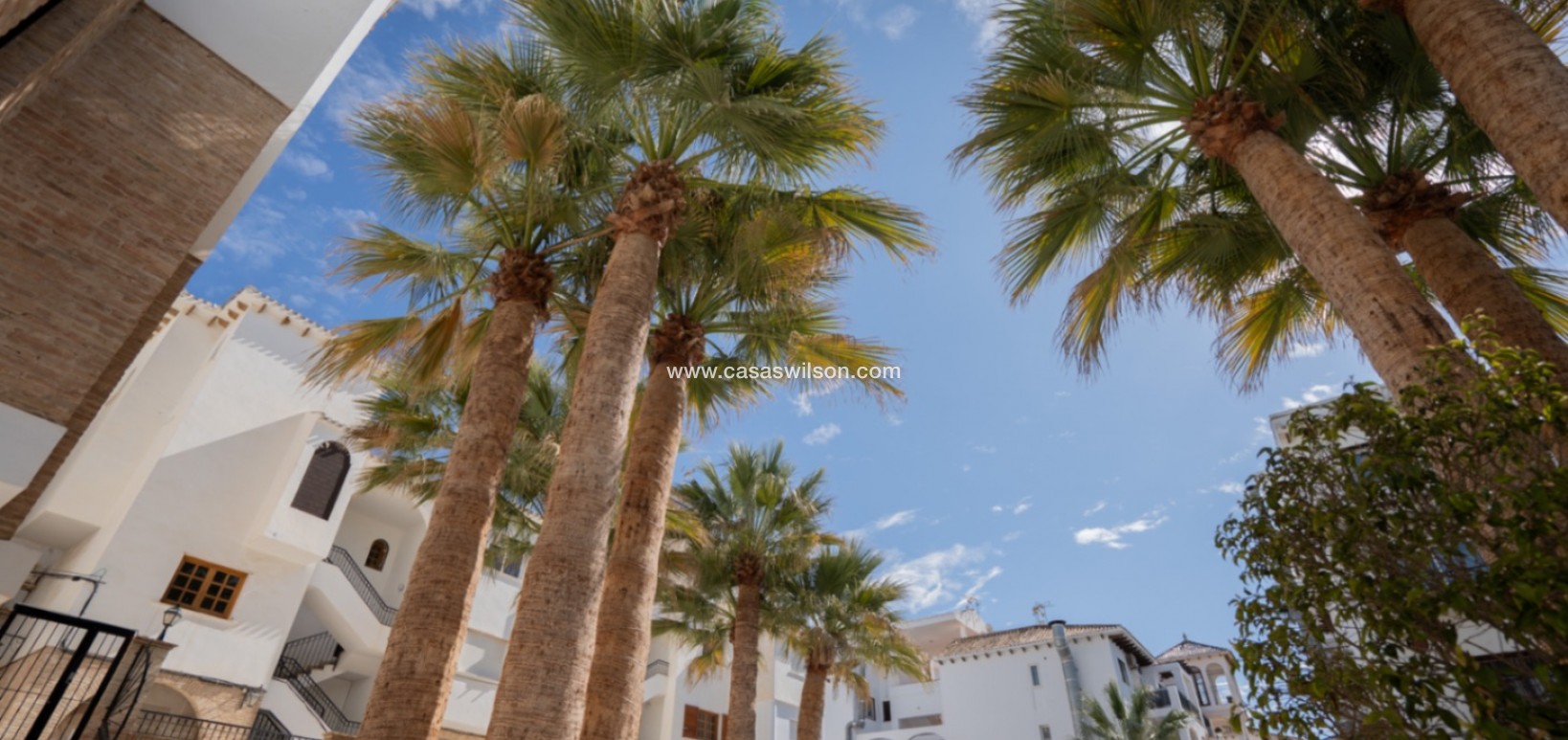 Sale - Apartment - Orihuela - Inland