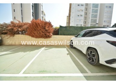 Sale - Apartment - Guardamar del Segura - Costa Blanca